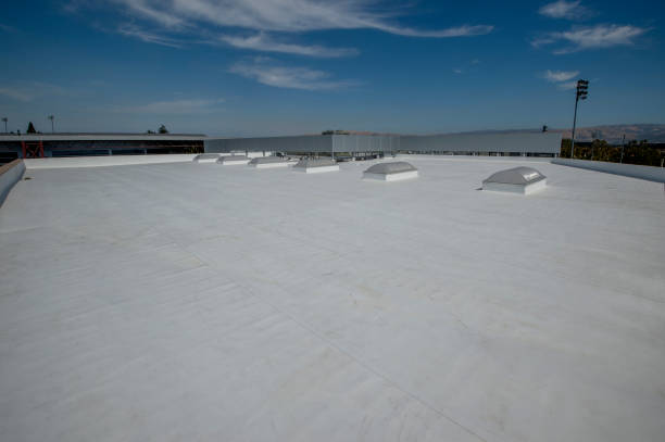 Best Roof Coating and Sealing  in High Ridge, MO