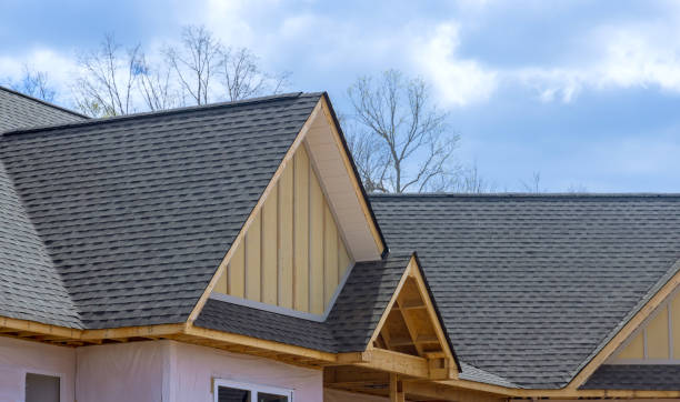 Best Metal Roofing Installation  in High Ridge, MO